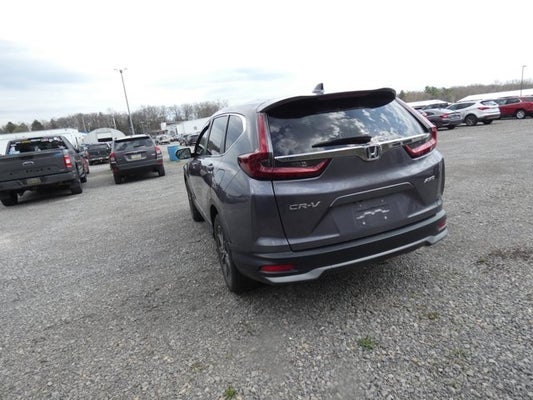 2021 Honda CR-V EX-L in Butler, PA - Mike Kelly Automotive