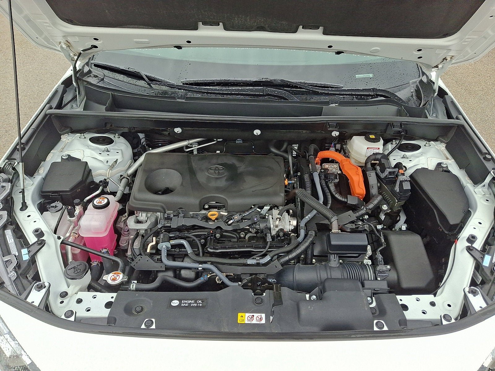 2024 Toyota RAV4 HYBRID Hybrid LE