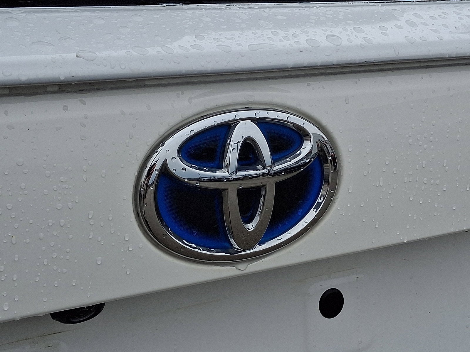 2024 Toyota RAV4 HYBRID Hybrid LE