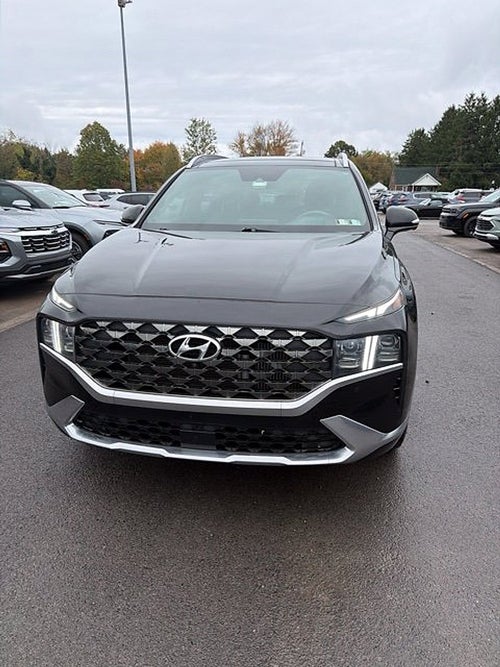 2021 Hyundai Santa Fe Calligraphy