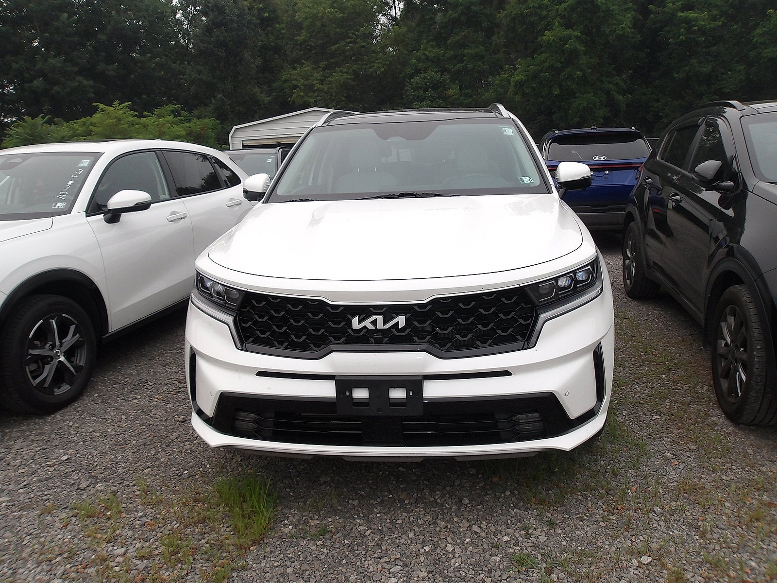 2023 Kia Sorento Hybrid SX Prestige